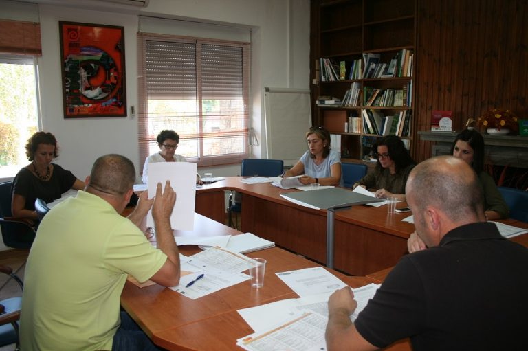 UNA COMISIÓN TÉCNICA  NOMBRADA POR LA ASAMBLEA DE LA ADR HA SIDO LA   ENCARGADA DE LLEVAR A CABO LA PRIORIZACIÓN DE LAS NECESIDADES DEL TERRITORIO Y  DE FORMULAR  LOS OBJETIVOS ESTRATEGICOS DEL NUEVO MARCO COMUNITARIO 2014-2020 EN LA CUENCA MINERA.